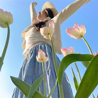 胶囊计划